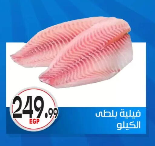 available at أولاد المحاوى in Egypt - القاهرة