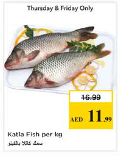 available at نستو هايبرماركت in الإمارات العربية المتحدة , الامارات - دبي
