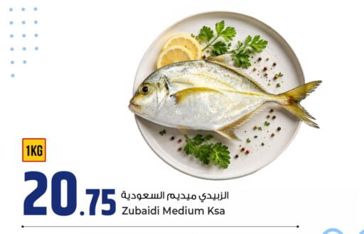available at روابي هايبرماركت in قطر - الضعاين