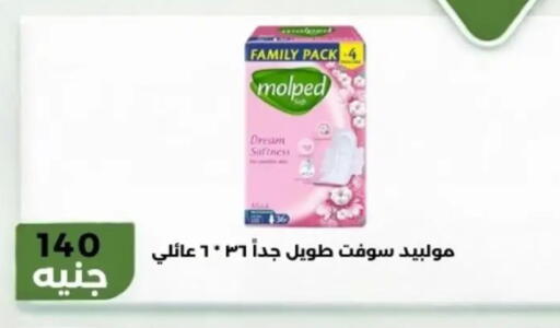 available at Khan Elhussein in Egypt - Cairo