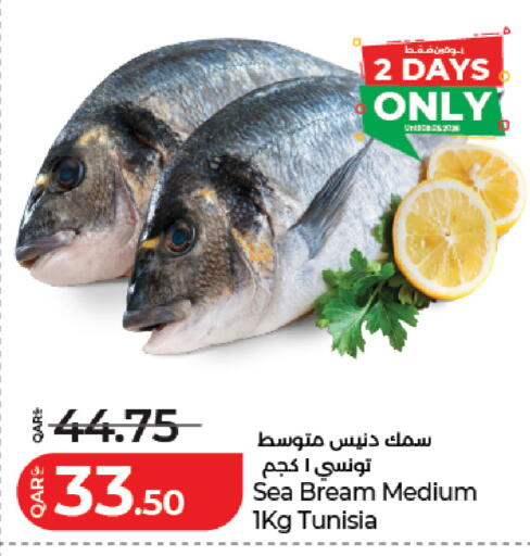 available at لولو هايبرماركت in قطر - الخور
