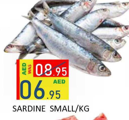 available at ROYAL GULF HYPERMARKET LLC in UAE - Abu Dhabi