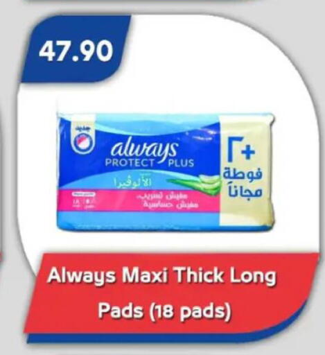 available at Bassem Market in Egypt - Cairo