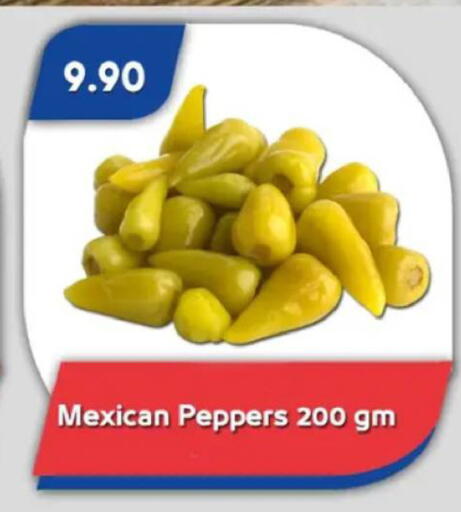 available at باسم ماركت in Egypt - القاهرة