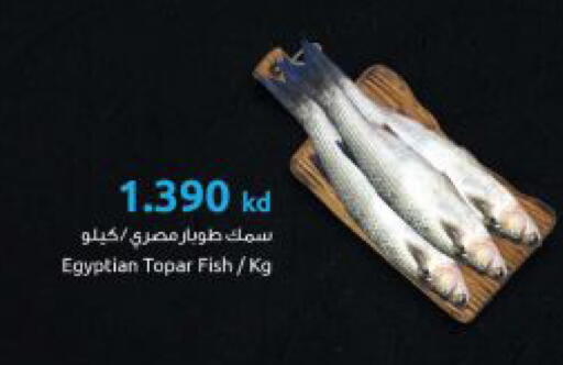 available at The Sultan Center in Kuwait - Ahmadi Governorate