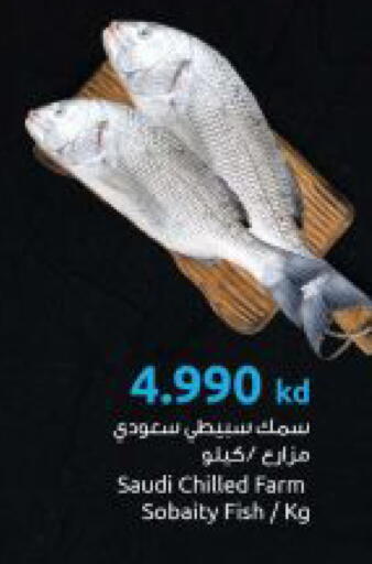 available at The Sultan Center in Kuwait - Ahmadi Governorate