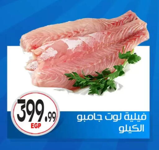 available at أولاد المحاوى in Egypt - القاهرة