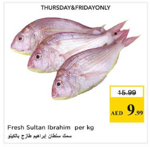 available at نستو هايبرماركت in الإمارات العربية المتحدة , الامارات - الشارقة / عجمان