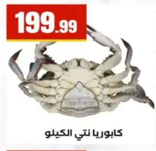 available at مارت فيل in Egypt - القاهرة