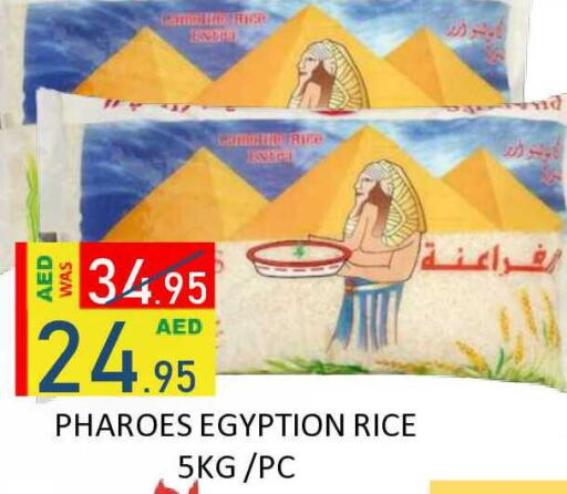 available at ROYAL GULF HYPERMARKET LLC in UAE - Abu Dhabi