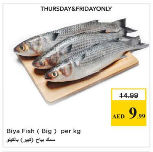 available at نستو هايبرماركت in الإمارات العربية المتحدة , الامارات - الشارقة / عجمان