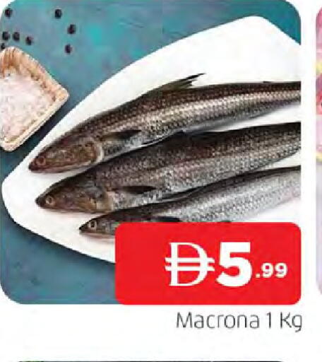 available at المدينة in الإمارات العربية المتحدة , الامارات - الشارقة / عجمان
