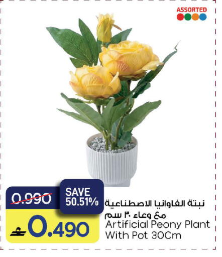 available at MARK & SAVE in Oman - Sohar