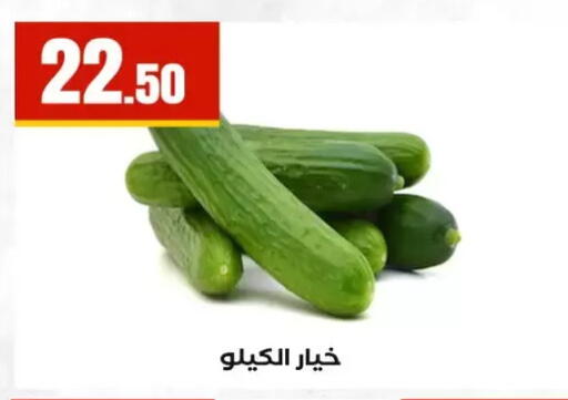 available at مارت فيل in Egypt - القاهرة