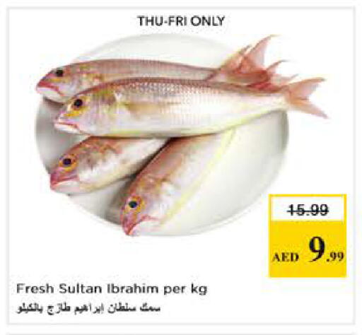 available at Nesto Hypermarket in UAE - Abu Dhabi