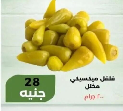 available at Khan Elhussein in Egypt - Cairo
