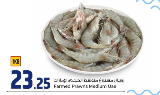 available at روابي هايبرماركت in قطر - الضعاين