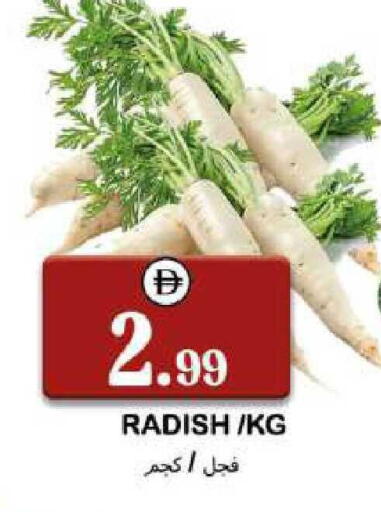 Radish available at سوق المبارك هايبرماركت in الإمارات العربية المتحدة , الامارات - الشارقة / عجمان