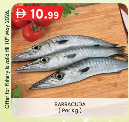 available at Safa Express Supermarket in UAE - Abu Dhabi
