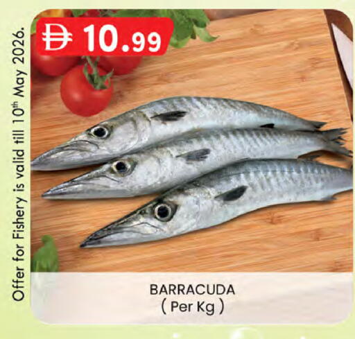 available at K M Trading  in UAE - Abu Dhabi