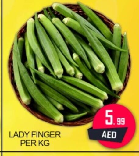 available at جرين جيفت متجر أقسام in الإمارات العربية المتحدة , الامارات - دبي