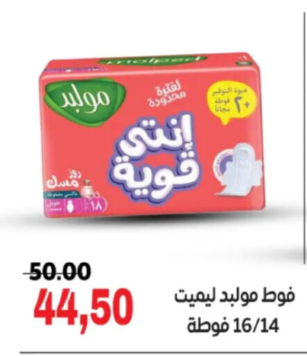 available at جلهوم ماركت in Egypt - القاهرة