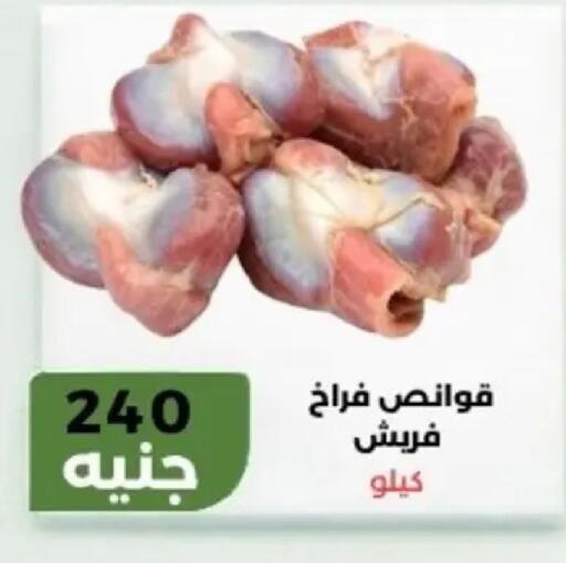 available at Khan Elhussein in Egypt - Cairo