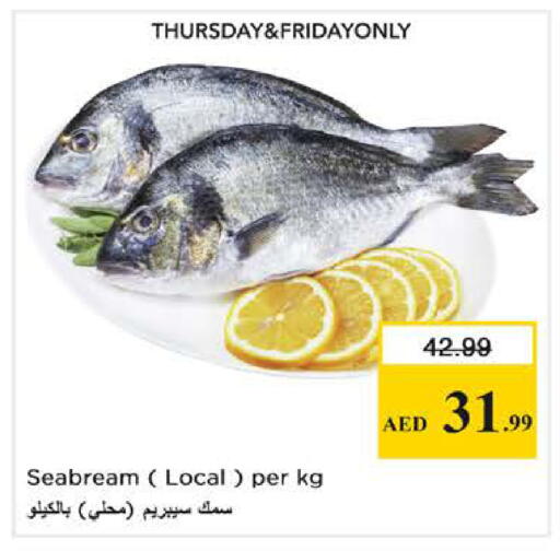 available at نستو هايبرماركت in الإمارات العربية المتحدة , الامارات - الشارقة / عجمان