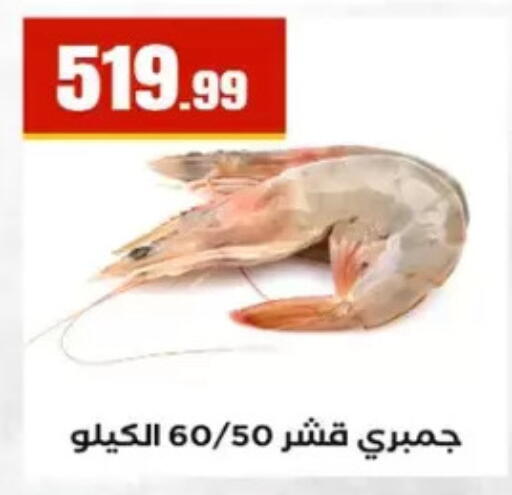 available at مارت فيل in Egypt - القاهرة