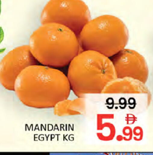 Mandarin from Egypt available at المدينة in الإمارات العربية المتحدة , الامارات - دبي