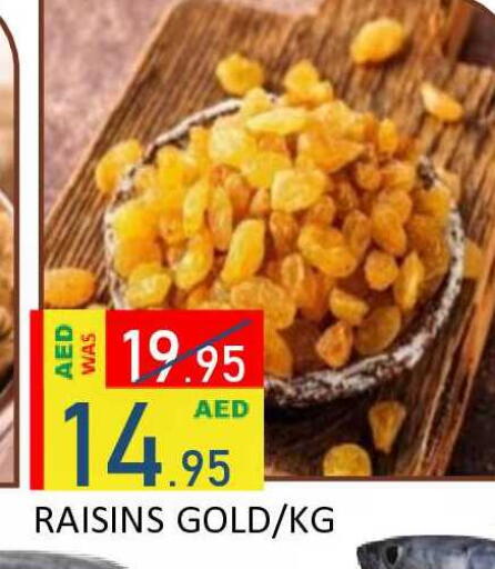 available at ROYAL GULF HYPERMARKET LLC in UAE - Abu Dhabi