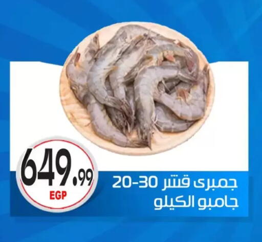 available at أولاد المحاوى in Egypt - القاهرة