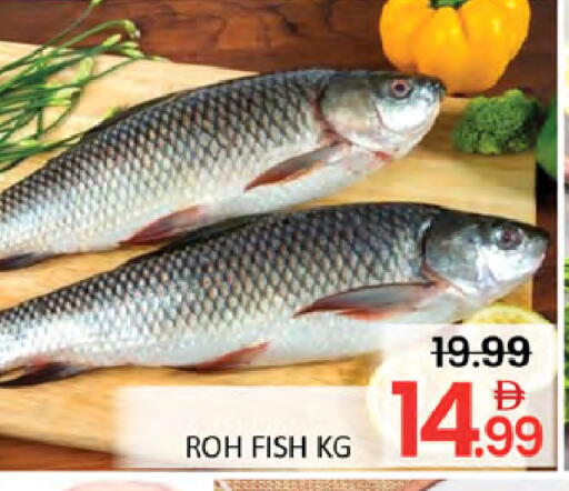 available at المدينة in الإمارات العربية المتحدة , الامارات - دبي