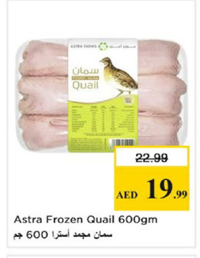 available at نستو هايبرماركت in الإمارات العربية المتحدة , الامارات - دبي