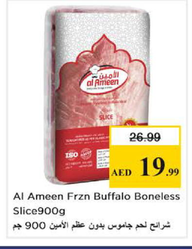 available at نستو هايبرماركت in الإمارات العربية المتحدة , الامارات - دبي
