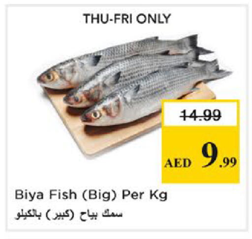 available at نستو هايبرماركت in الإمارات العربية المتحدة , الامارات - دبي