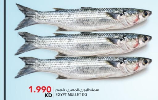 available at  ALNASSER HYPERMARKET in Kuwait - Kuwait City