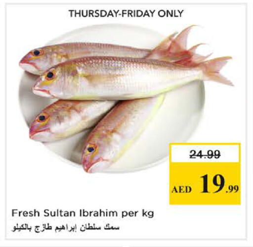 available at نستو هايبرماركت in الإمارات العربية المتحدة , الامارات - دبي