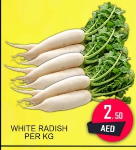 Radish available at جرين جيفت متجر أقسام in الإمارات العربية المتحدة , الامارات - دبي