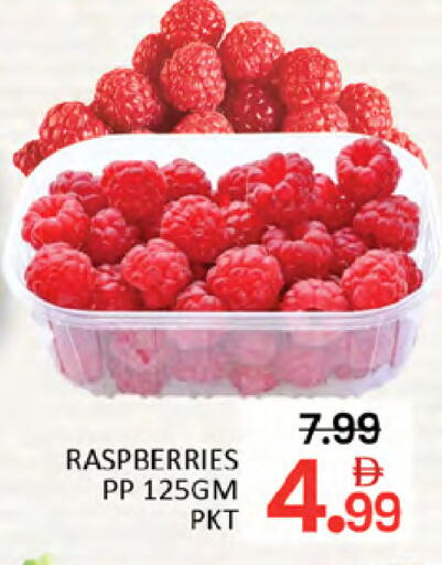 available at المدينة in الإمارات العربية المتحدة , الامارات - دبي