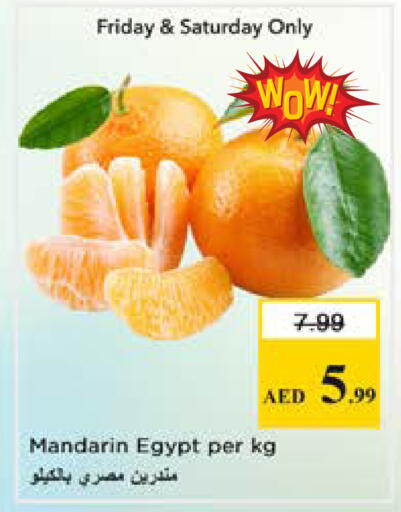 Mandarin from Egypt available at نستو هايبرماركت in الإمارات العربية المتحدة , الامارات - الشارقة / عجمان