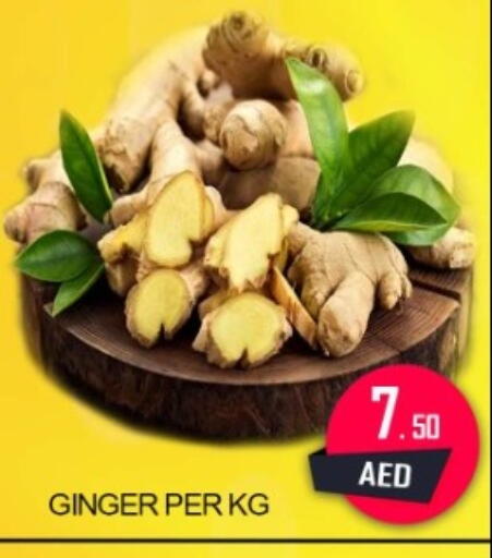Ginger available at جرين جيفت متجر أقسام in الإمارات العربية المتحدة , الامارات - دبي