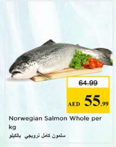 available at نستو هايبرماركت in الإمارات العربية المتحدة , الامارات - الشارقة / عجمان