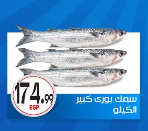 available at أولاد المحاوى in Egypt - القاهرة