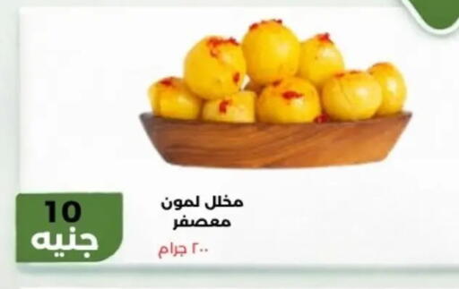 available at Khan Elhussein in Egypt - Cairo