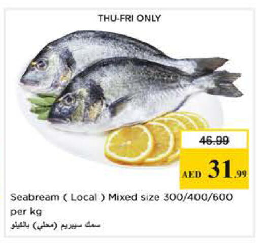 available at Nesto Hypermarket in UAE - Abu Dhabi