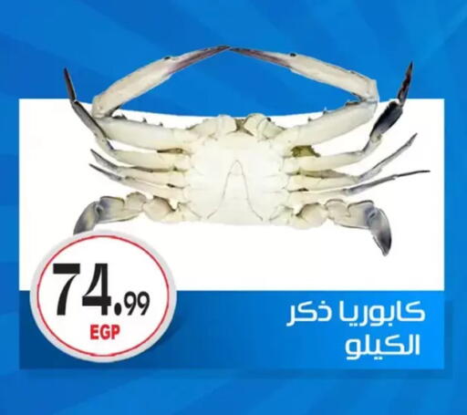 available at أولاد المحاوى in Egypt - القاهرة