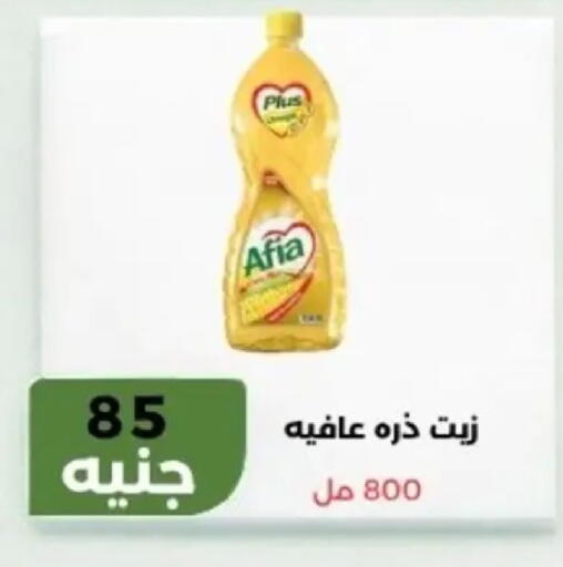 available at Khan Elhussein in Egypt - Cairo