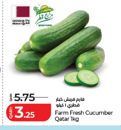 Cucumber from Qatar available at لولو هايبرماركت in قطر - الريان