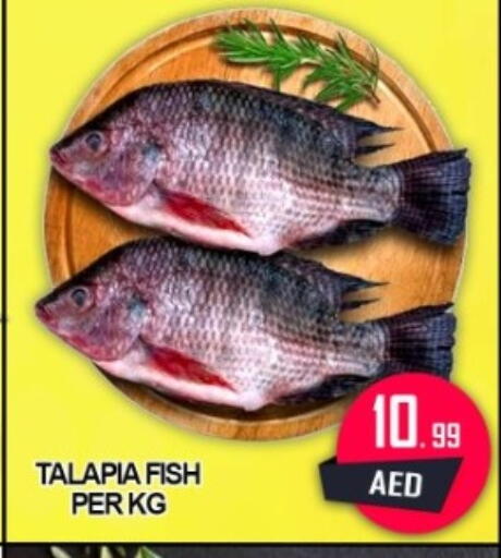 available at جرين جيفت متجر أقسام in الإمارات العربية المتحدة , الامارات - دبي